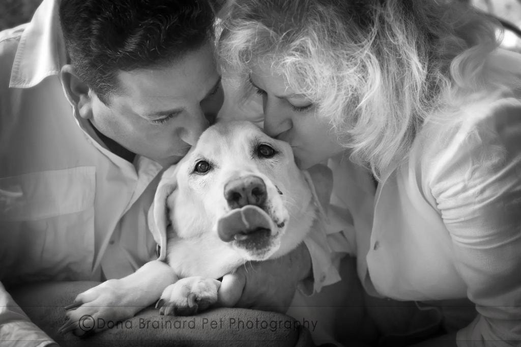 Legacy Session — couple kissing their dog affectionately